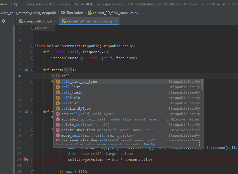 auto-completion 1