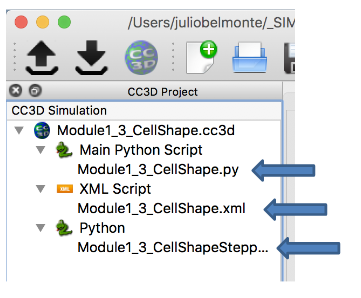 An image showing the names of the files that are generated when creating a new project.