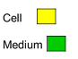 A legend for color coding of the two cell types.