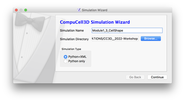 Figure 1.1 Choose Python+XML in Simulation Wizard.
